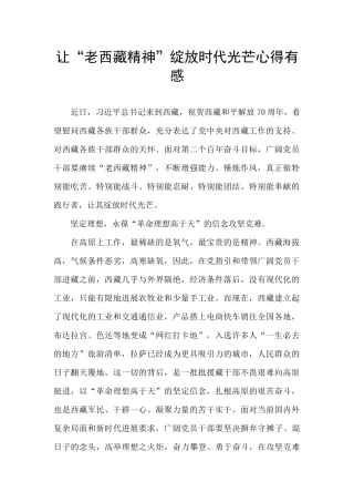 让“老西藏精神”绽放时代光芒心得有感