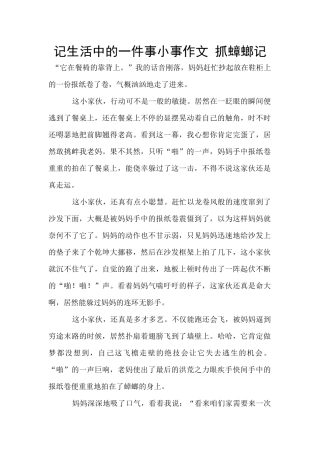 记生活中的一件事小事作文