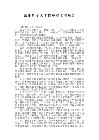 试用期个人工作总结