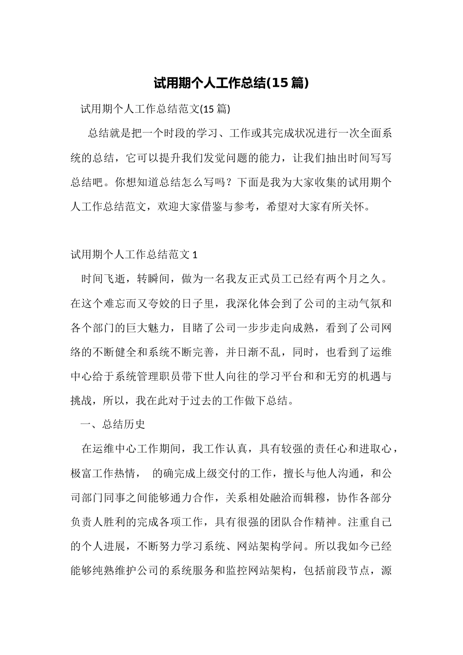 试用期个人工作总结_第1页