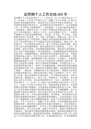 试用期个人工作总结600字