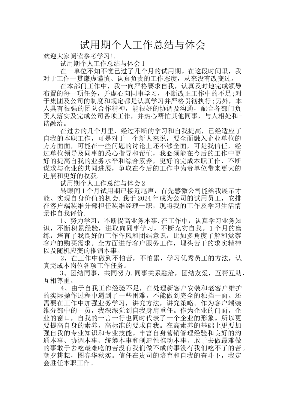 试用期个人工作总结与体会_第1页