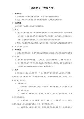 试用期员工考核方案