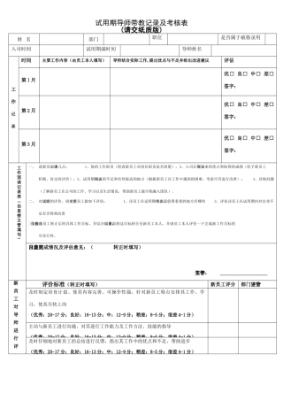 试用期导师带教记录及考核表