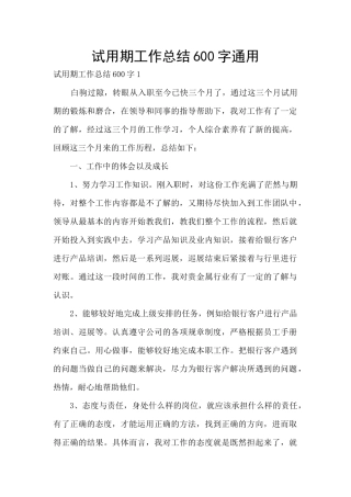 试用期工作总结600字通用