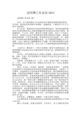 试用期工作总结2024