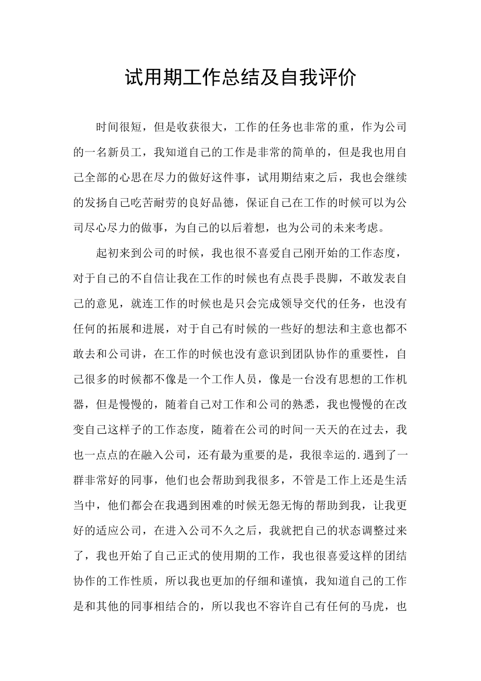 试用期工作总结及自我评价_第1页