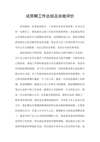 试用期工作总结及自我评价