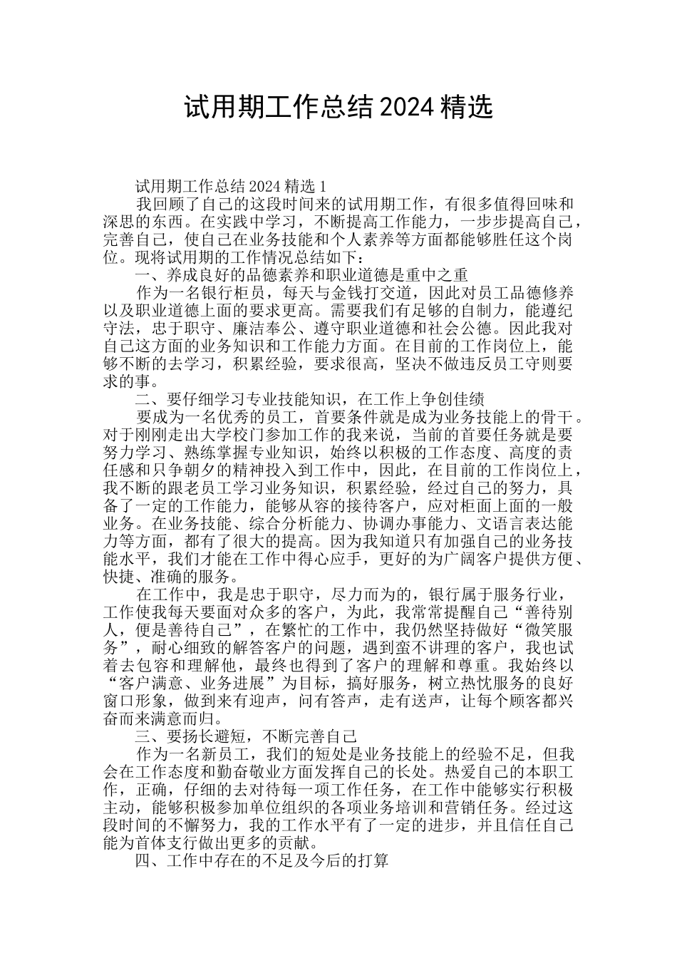 试用期工作总结2024精选_第1页