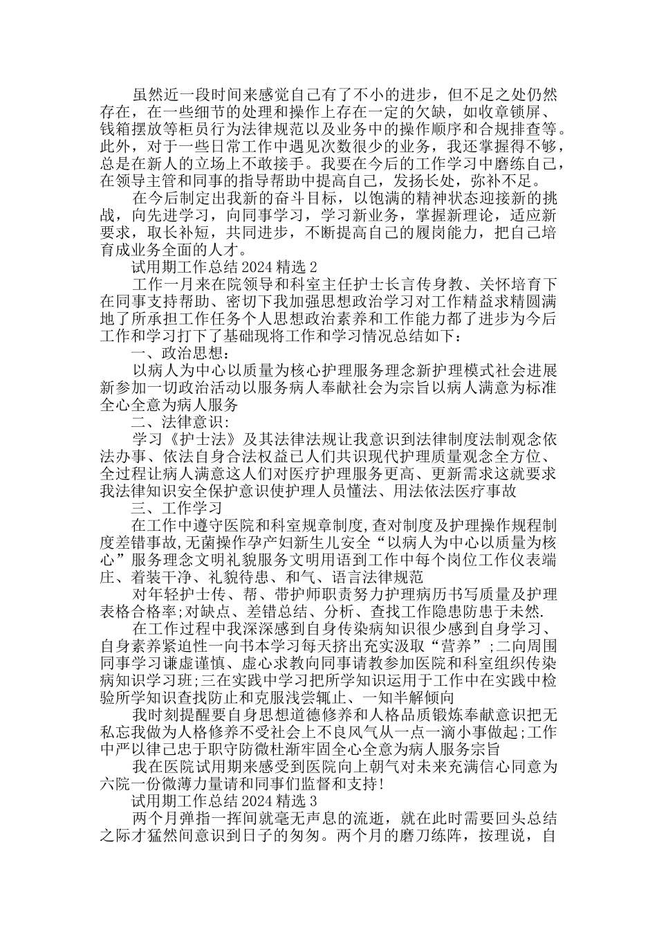 试用期工作总结2024精选_第2页