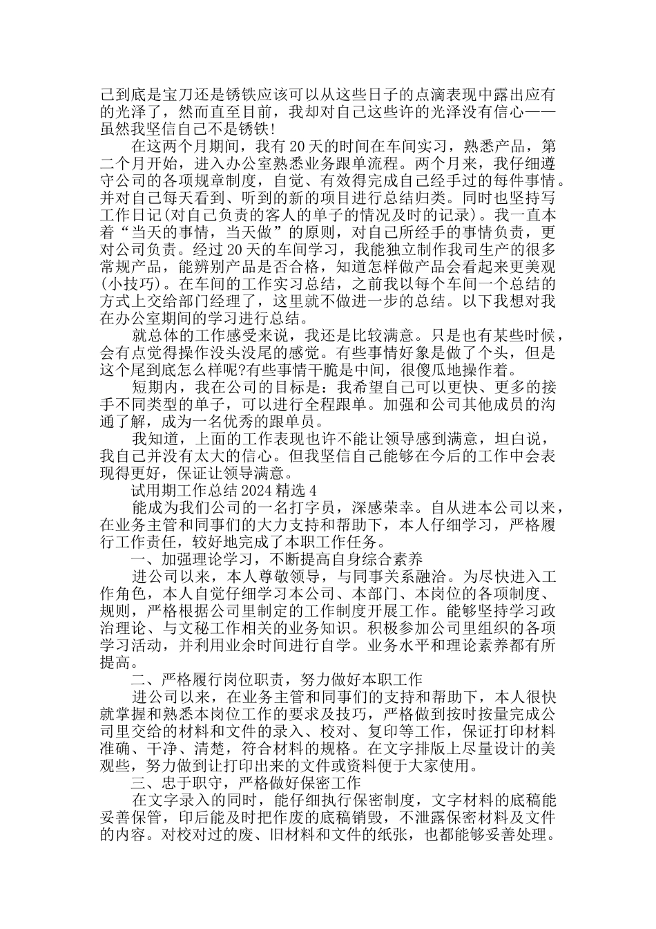 试用期工作总结2024精选_第3页