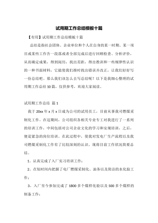 试用期工作总结模板十篇