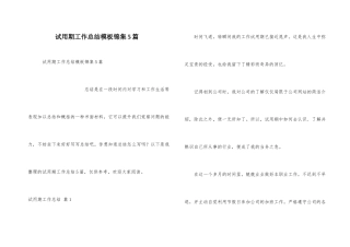试用期工作总结模板锦集5篇