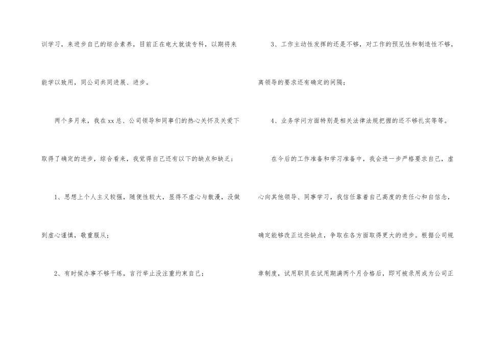 试用期工作总结模板合集八篇-1_第2页