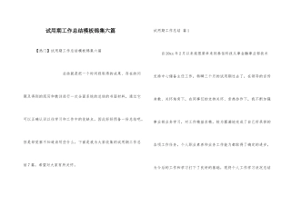 试用期工作总结模板锦集六篇