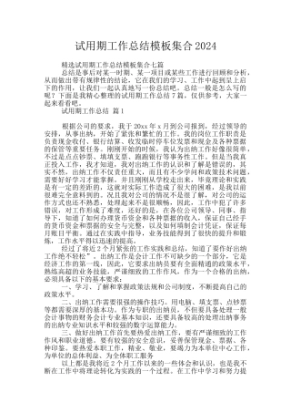试用期工作总结模板集合2024
