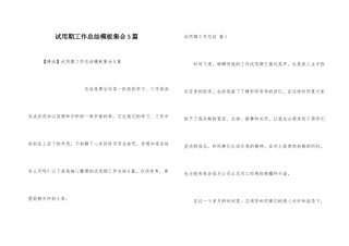 试用期工作总结模板集合5篇