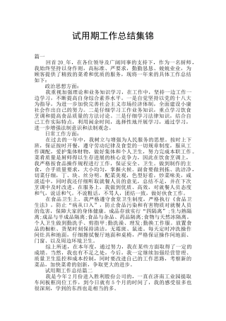 试用期工作总结集锦