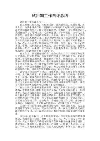 试用期工作自评总结