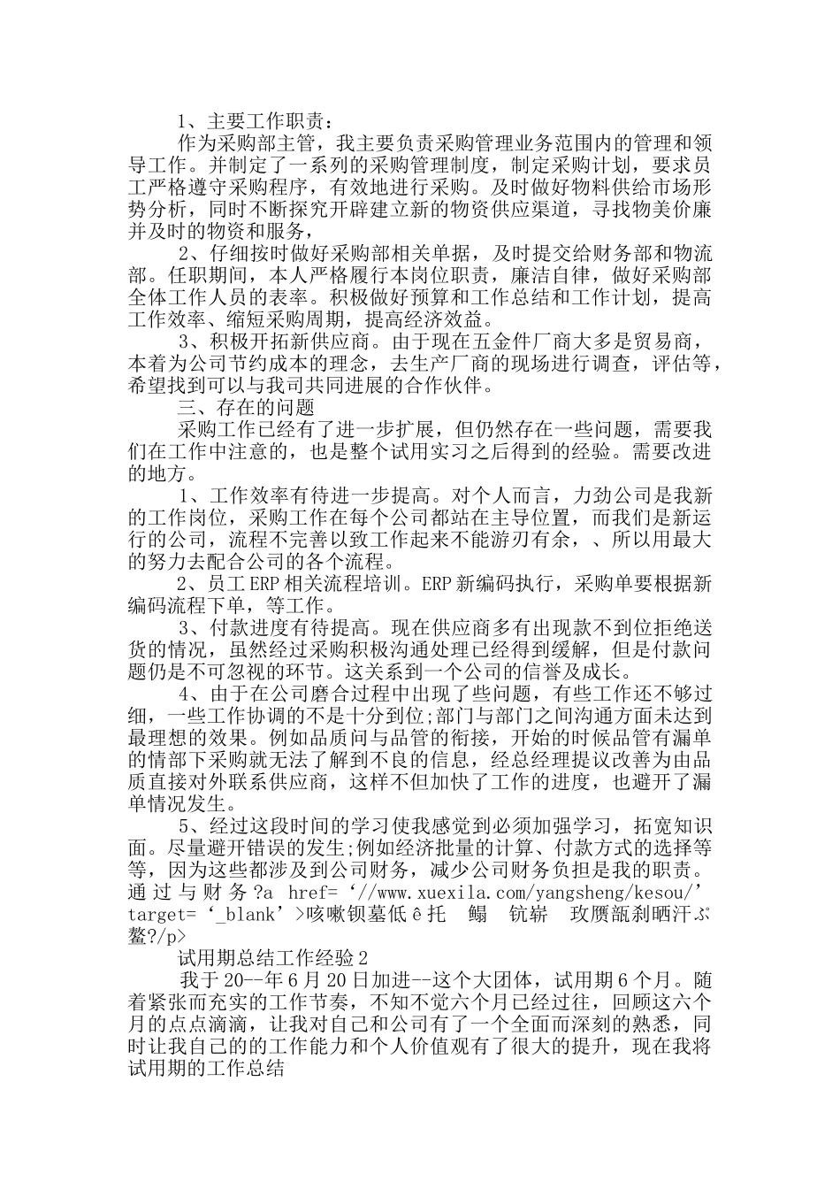 试用期总结工作经验_第2页