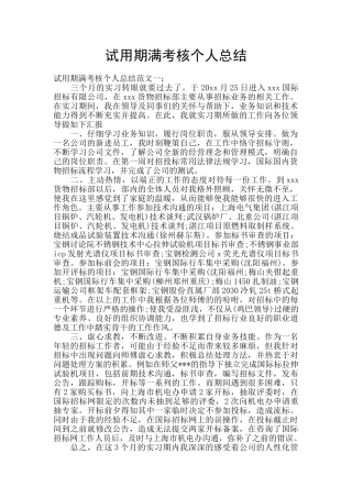 试用期满考核个人总结