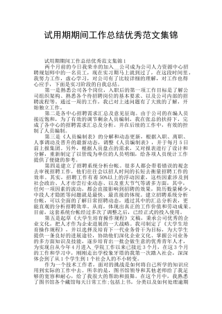 试用期期间工作总结优秀范文集锦