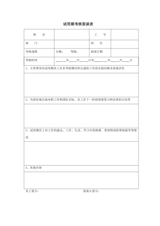 试用期考核面谈表