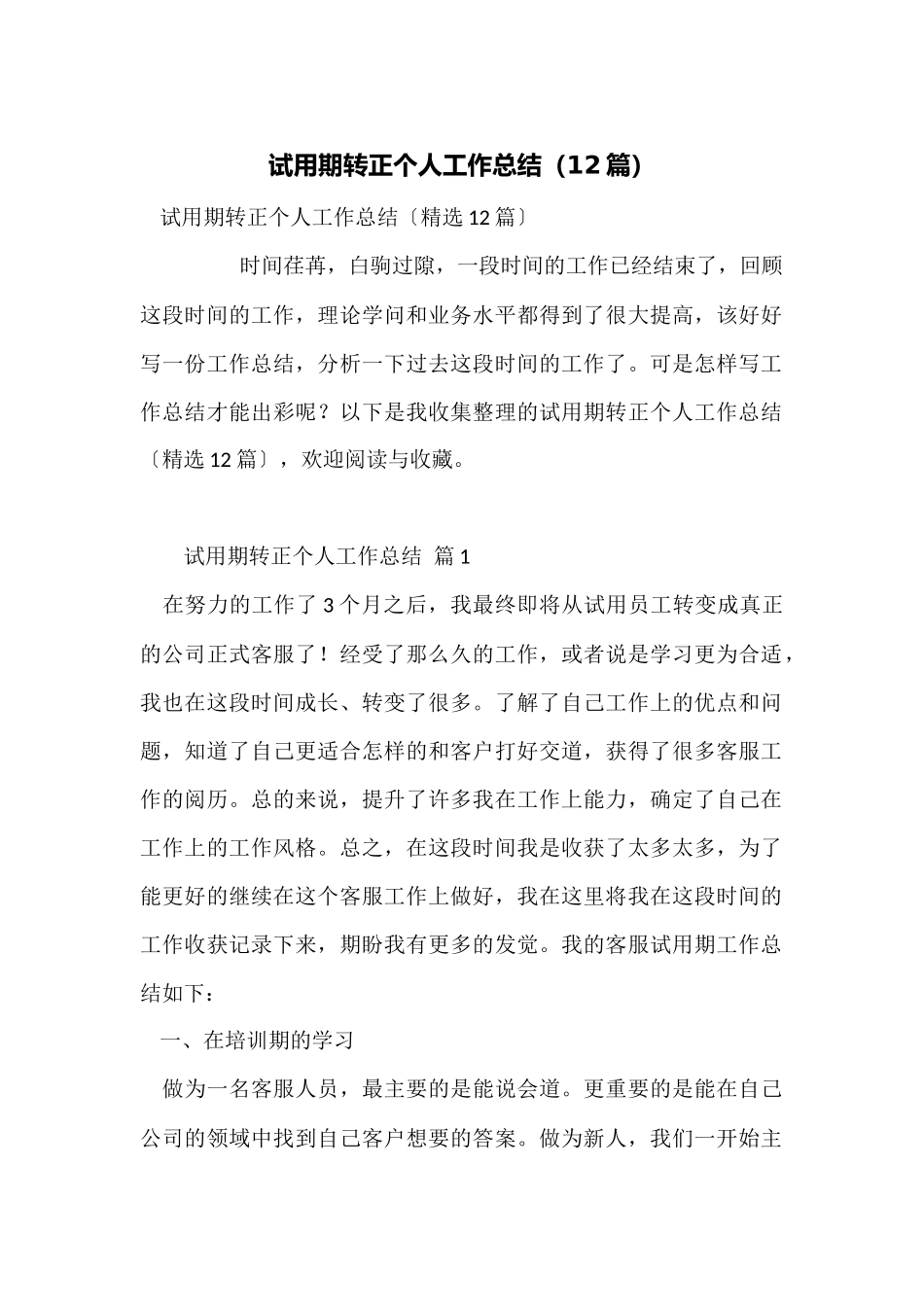 试用期转正个人工作总结_第1页