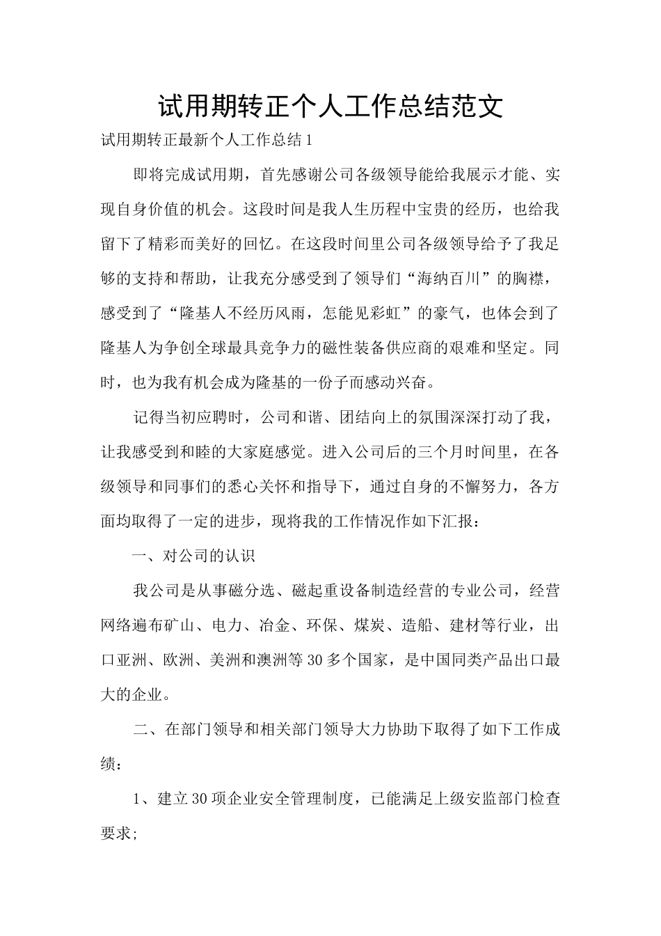 试用期转正个人工作总结范文_第1页