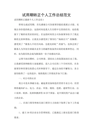 试用期转正个人工作总结范文