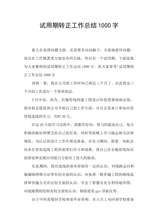 试用期转正工作总结1000字