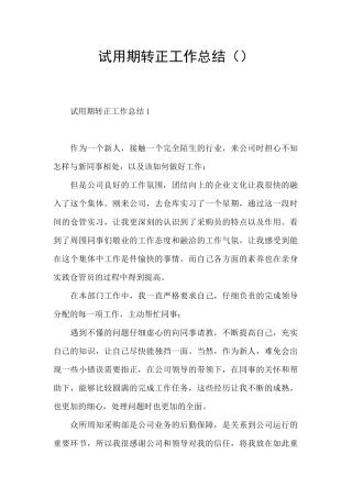 试用期转正工作总结()