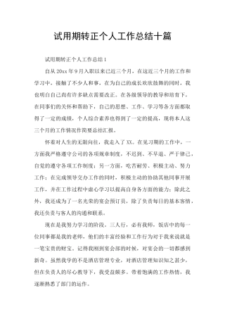 试用期转正个人工作总结十篇