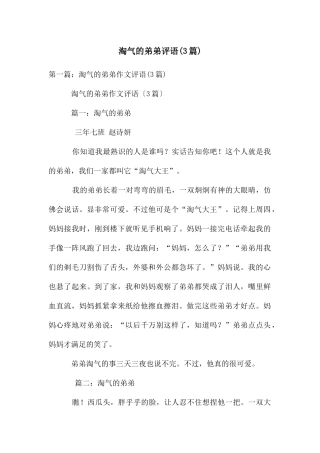 调皮的弟弟评语