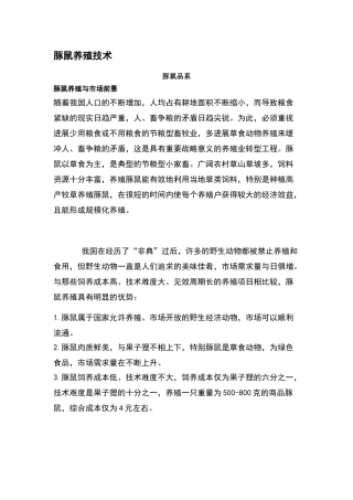 豚鼠养殖技术