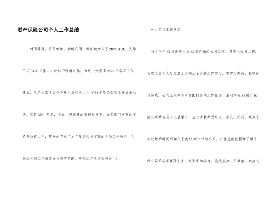财产保险公司个人工作总结_第1页