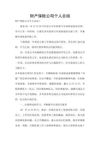 财产保险公司个人总结