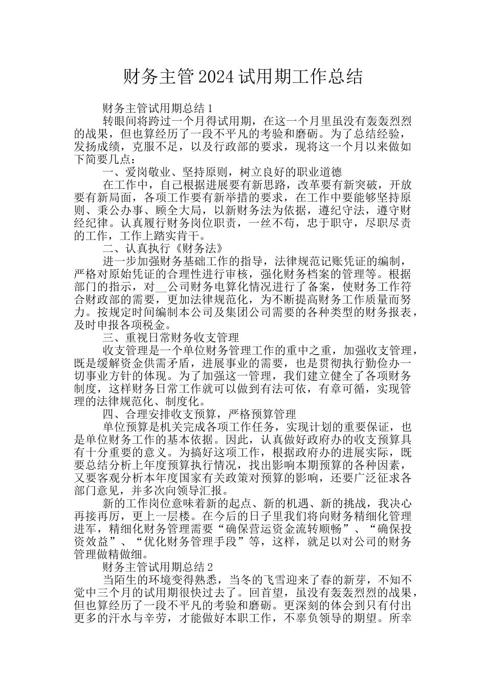 财务主管2024试用期工作总结_第1页