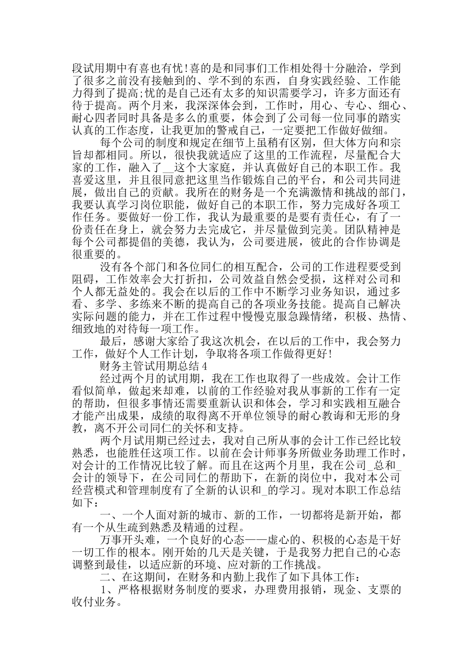 财务主管2024试用期工作总结_第3页