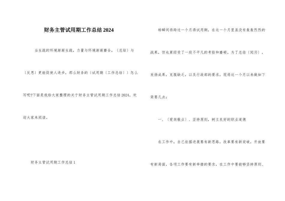 财务主管试用期工作总结2024_第1页