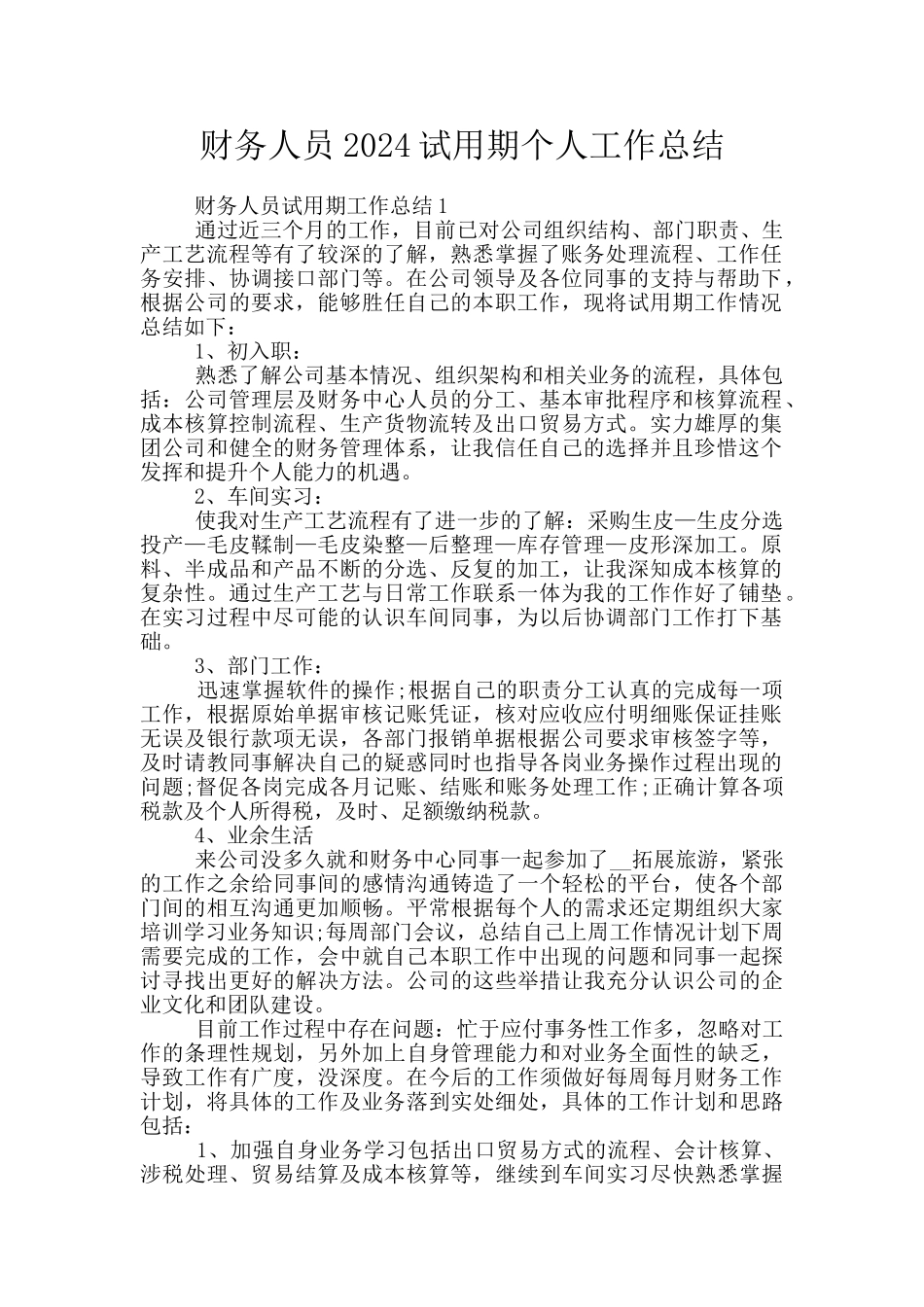 财务人员2024试用期个人工作总结_第1页