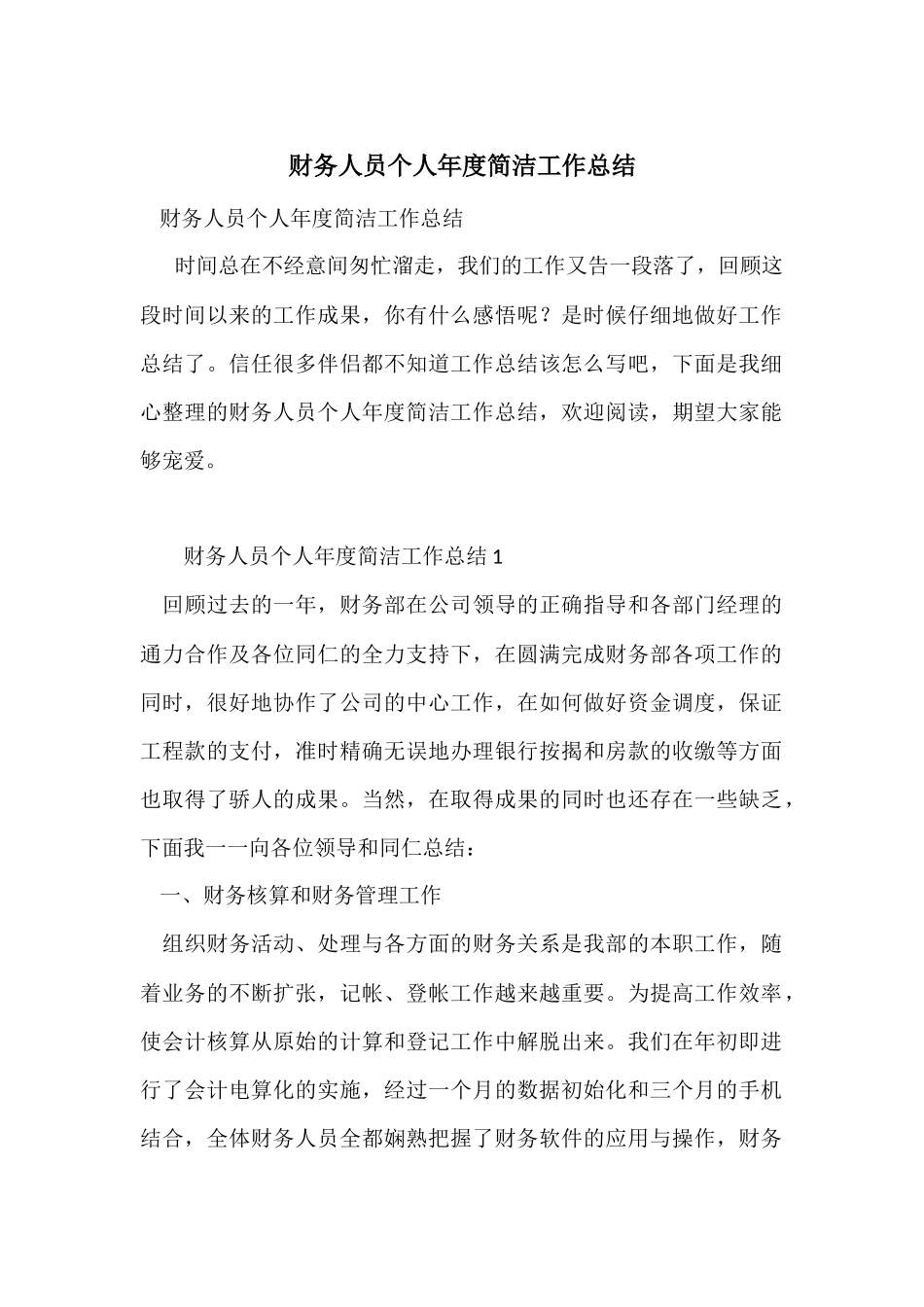 财务人员个人年度简洁工作总结_第1页