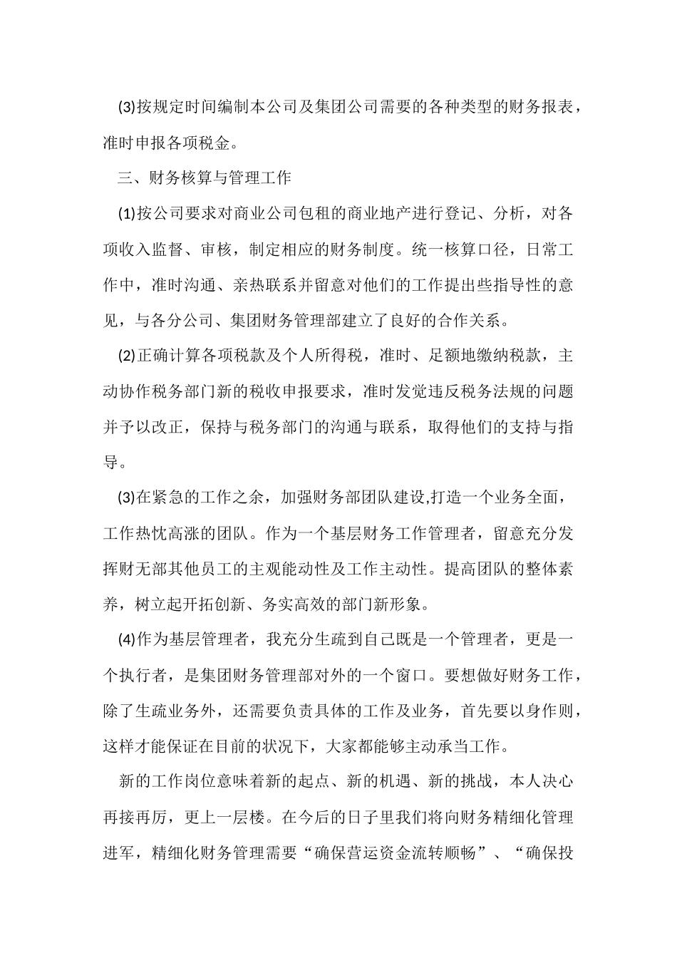 财务人员试用期工作总结-2_第3页