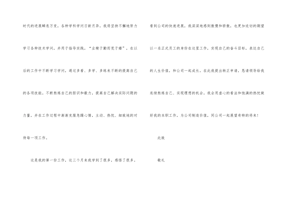 财务人员转正申请书_第3页