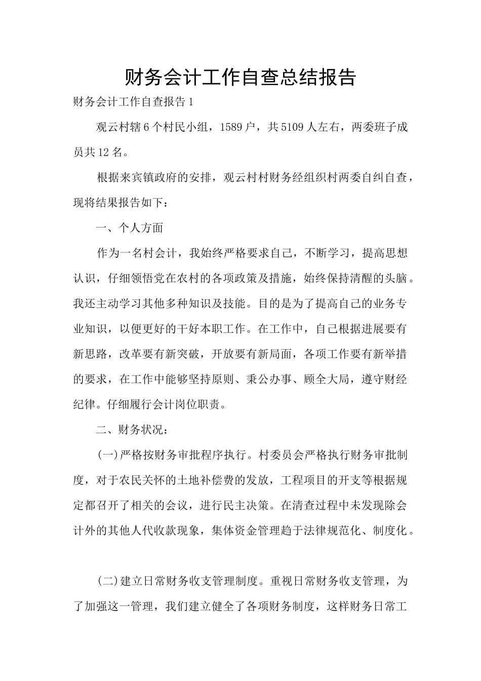 财务会计工作自查总结报告_第1页