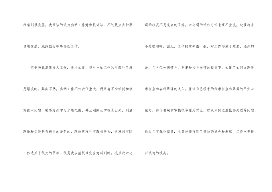 财务出纳个人工作总结四篇_第2页