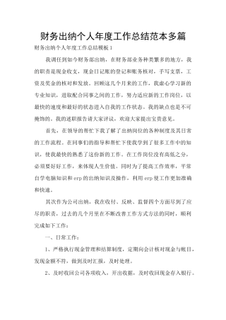 财务出纳个人年度工作总结范本多篇