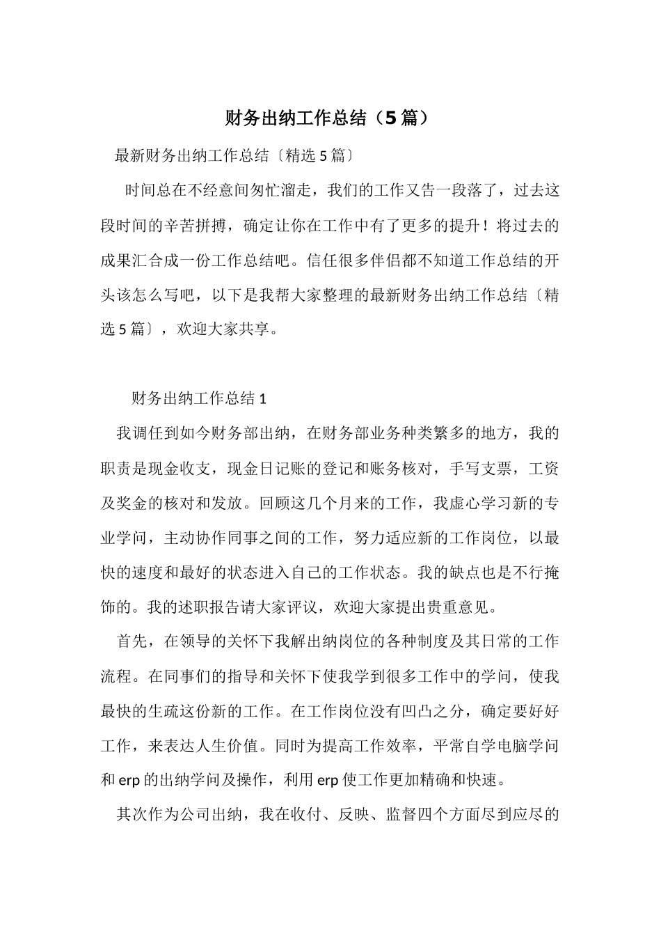 财务出纳工作总结（5篇）_第1页