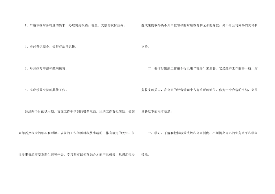 财务出纳试用期工作总结_第2页