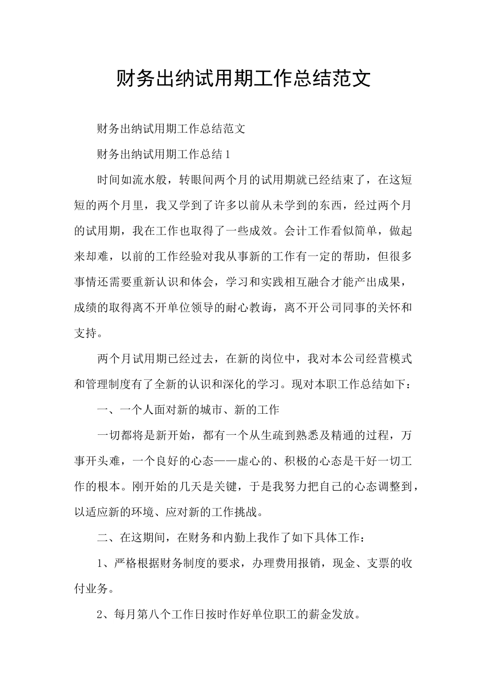 财务出纳试用期工作总结范文_第1页